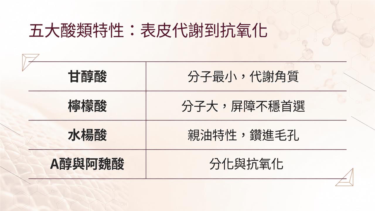 五大酸類特性：從表皮代謝到抗氧化