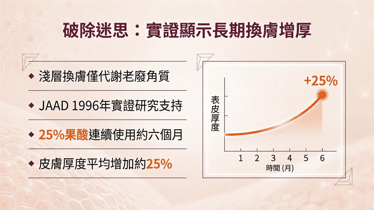 JAAD 1996 研究：長期果酸換膚皮膚厚度增加約 25%