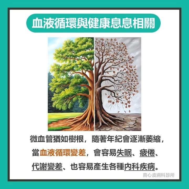 血液循環不良